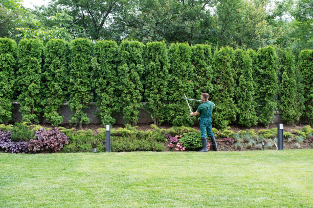 Best Soil Testing and Treatment  in French Mp, CA